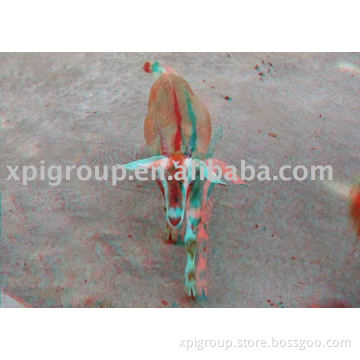 3D glasses/3D glasses picture/3D viewer image